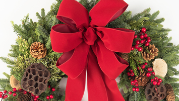 Christmas Wreaths & Planters