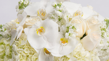 Funeral Arrangement  Funeral Flower Delivery, Philadelphia Florist -  Robertson's Flowers