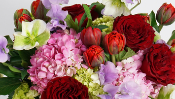 Valentine's Day