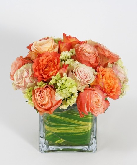 Generosity Blossoms: Deluxe