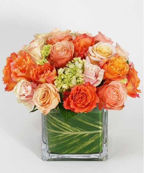 Generosity Blossoms: Premium