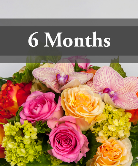Flowers by the Month - 6 Months