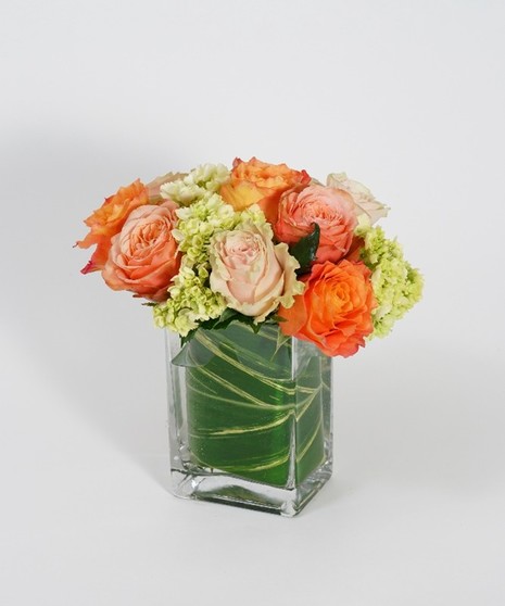 Generosity Blossoms: Classic