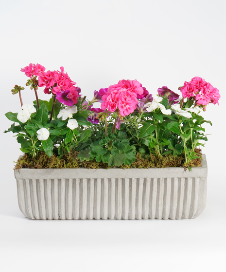 Cement Planter