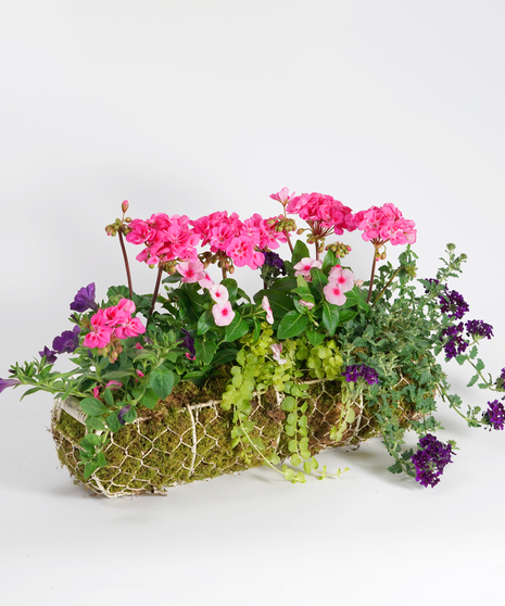 Rustic Planter