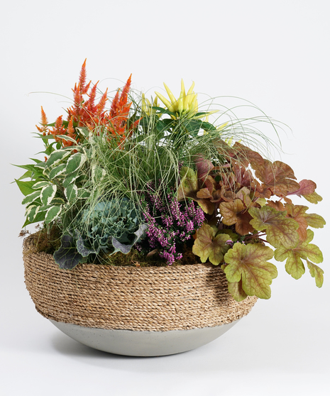 table top fall patio pot in unique container