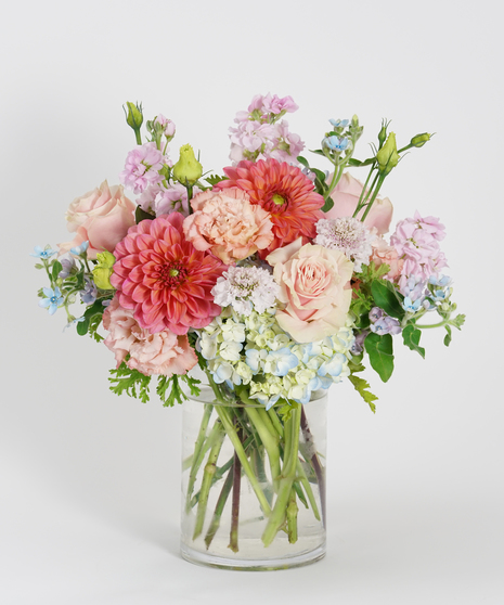 Pastel Garden