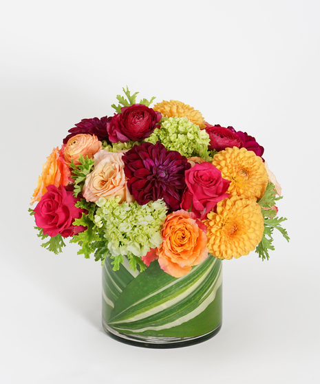 Love for Dahlias