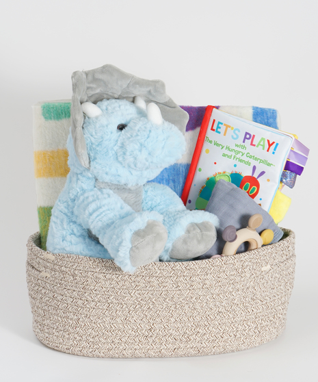 Dino New Baby Basket - Choice of Blanket
