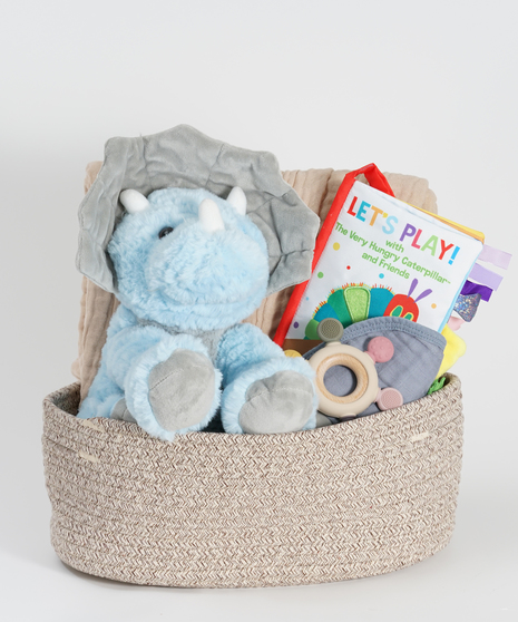 new baby gift basket featuring plush triceratops, bib, soft blanket, and teether