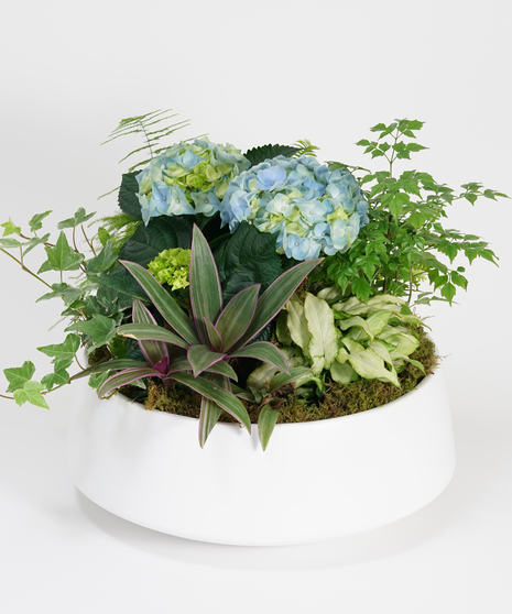 Indoor Garden Oasis