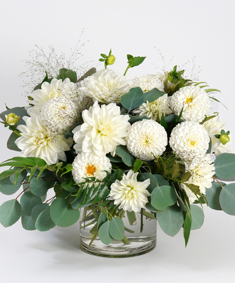 Ivory Elegance