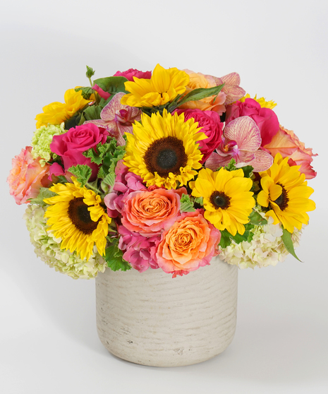 Radiant Blooms