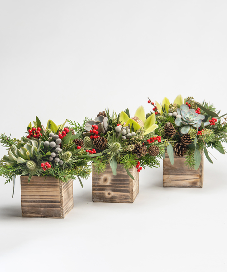trio of wooden cubes filled with seasonal greens, succulents and red berries