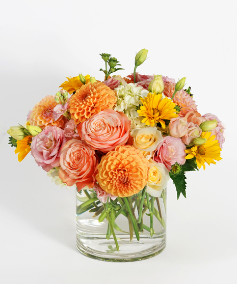 Rustic Dahlia
