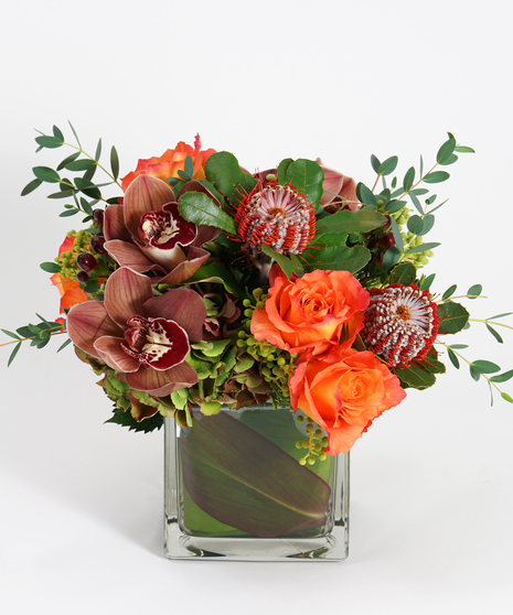 orange roses, burgundy orchids and banksia accented with textural greens