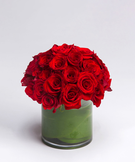 Red Rose Arrangement Philadelphia, PA
