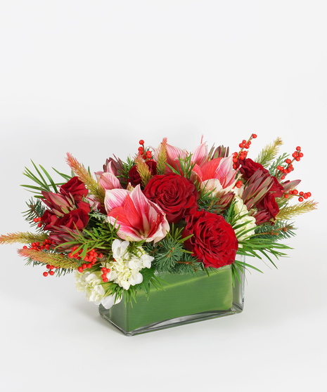 Christmas centerpiece of red amaryllis, red roses and white hydrangea accented with red berries and winter greens
