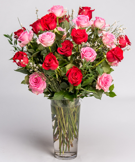 Classic Pink & Red Roses - Premier Philadelphia Florist