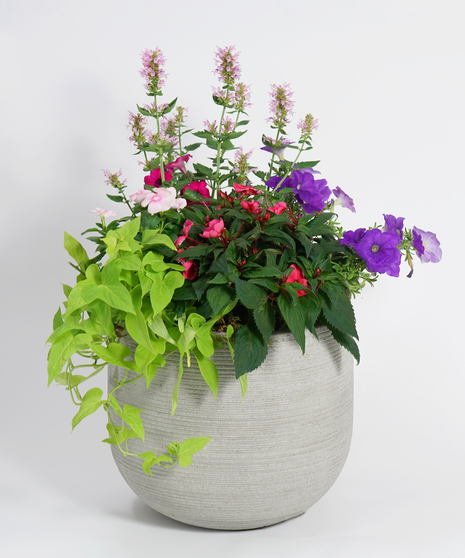 blooming Spring patio pot in fiberstone grey ridged containers