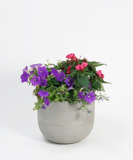 blooming Spring patio pot in fiberstone grey ridged containers