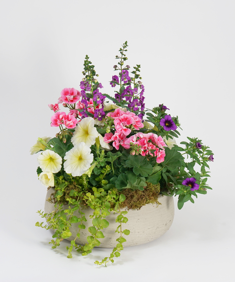 mixed annuals patio pot for table