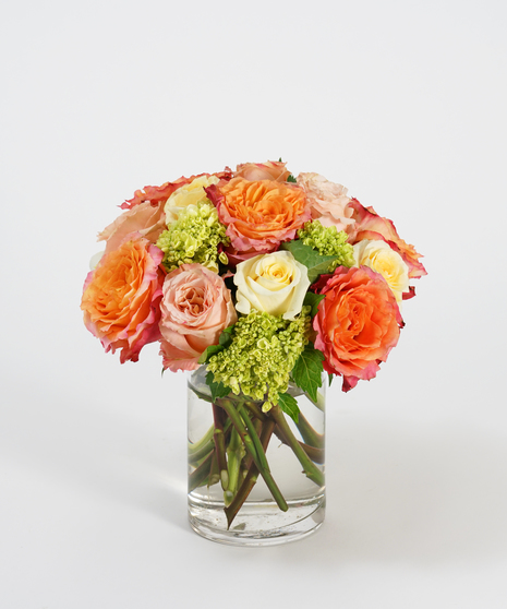 Generosity Blossoms: Classic
