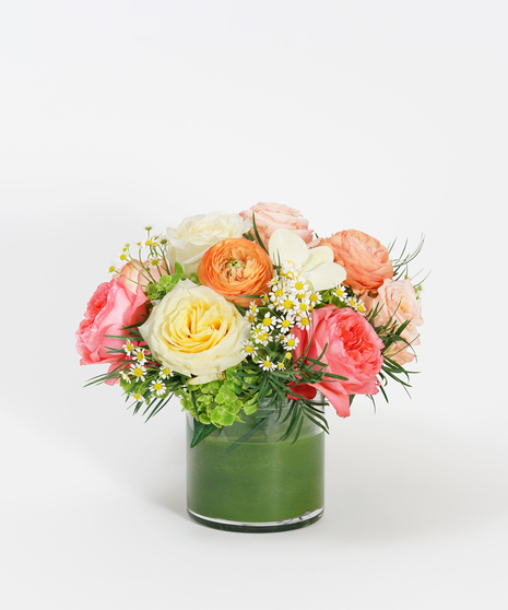 Cottage Rose