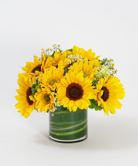 sunflowers accented with chamomile and mini green hydrangea arranged in a glass vase