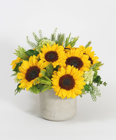 sunflowers, mini green hydrangea, and seasonal greens arranged in a grey stone container