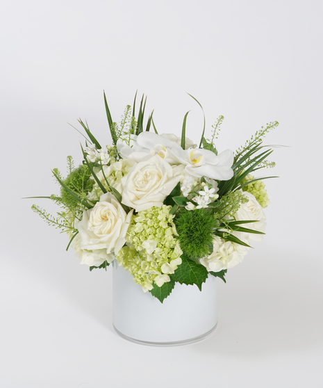 Pristine Whites