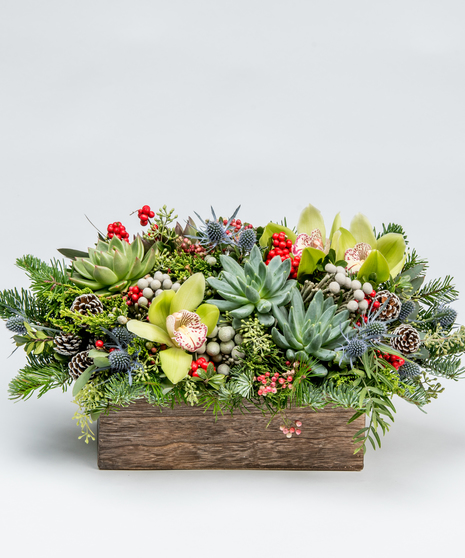 Succulents mixed with red berries and seasonal Christmas greens in a wooden rectangular container