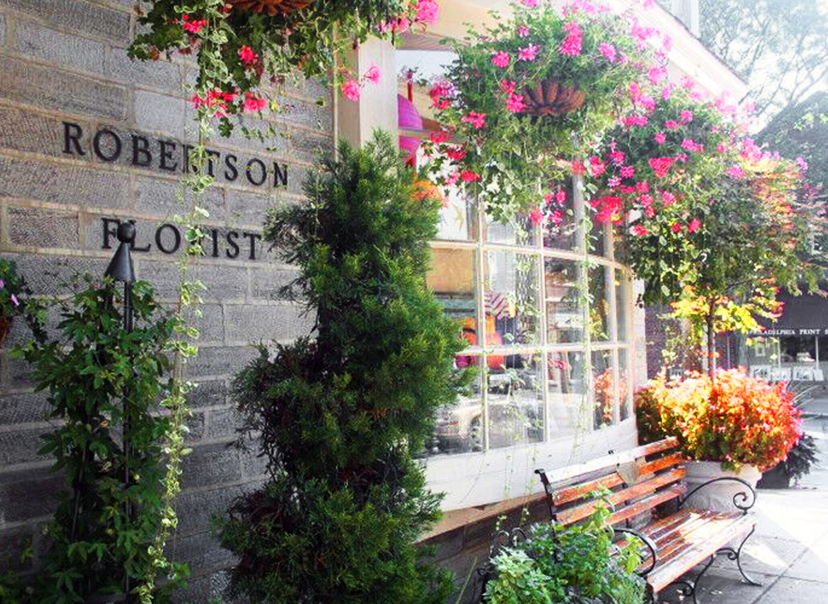Spring blooms with thriving plants and hanging flowers outside our front window